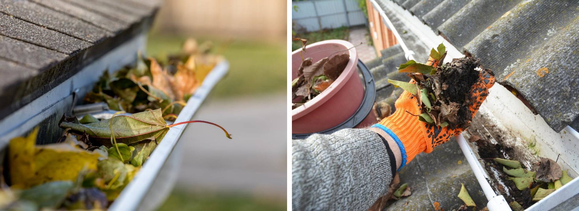 gutter, fascia and soffit cleaning services